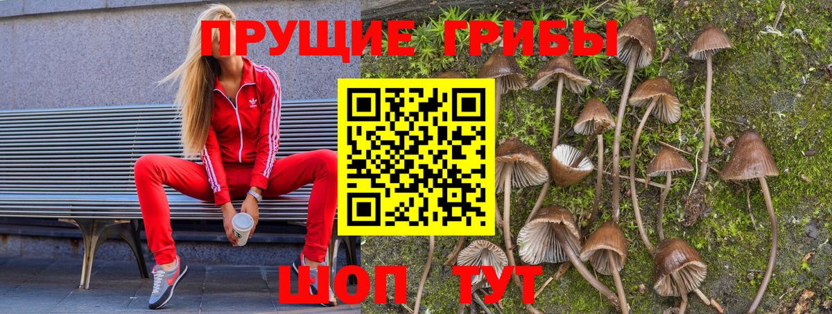 Кизилюрт  Галлюциногенные грибы Psilocybine cubensis  купить закладку  Вход с VPN 
